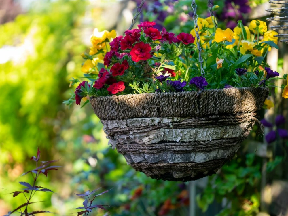 Hanging Baskets Hanging Baskets