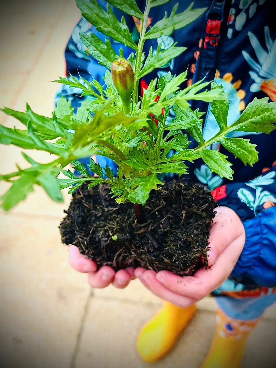 Thursday 14th August