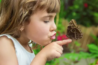 Create a Butterfly-Friendly Garden with Your Children