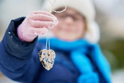 Fun with the Kids: Attract Wildlife to Your Winter Garden!