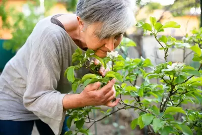 Garden therapy