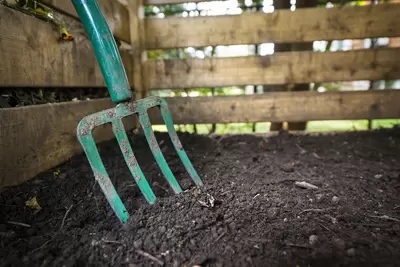 How to make your own compost