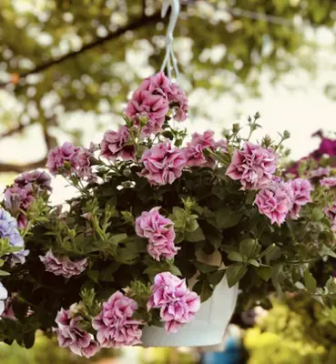 Mother's Day: Gift Guide