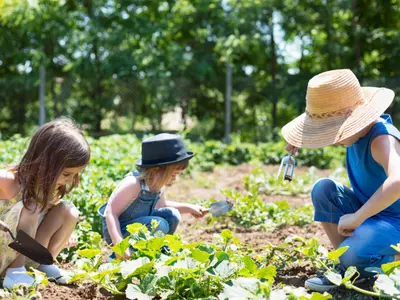 Sow Together, Grow Together: Easy Gardening Tips for Kids