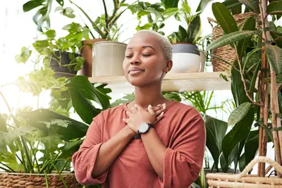 Top 5 Houseplants for a Healthier Living Environment