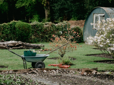 Why autumn is the best time to plant new plants