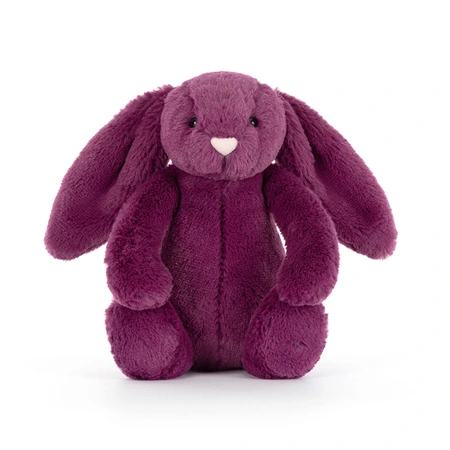 Bashful Allium Bunny - image 2