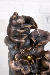 Bronzed Frogs - image 4