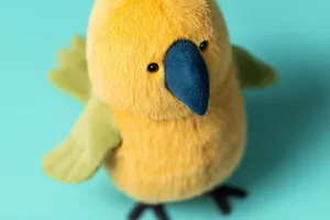 Budgeby Parrot - image 7