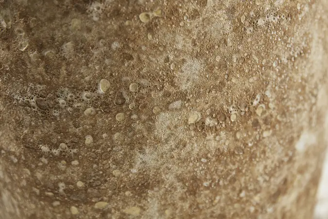 CAMILLE STONE - image 4