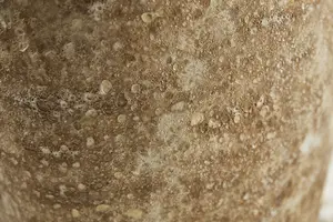 CAMILLE STONE - image 4