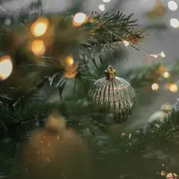 Christmas Lights