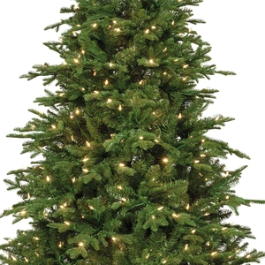 EVERLANDS Andalo Fir Prelit 6ft 180cm - image 3