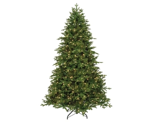 EVERLANDS Andalo Fir Prelit 6ft 180cm - image 1