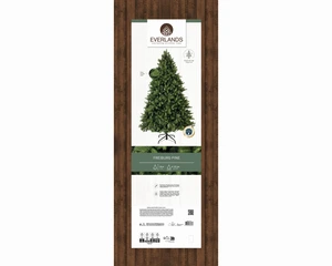EVERLANDS Freiburg Pine 180cm 6ft - image 2