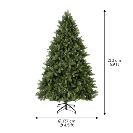EVERLANDS Freiburg Pine 210cm 7ft - image 5
