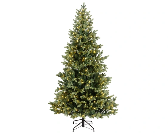 EVERLANDS Geneva Fir Prelit 7ft 210cm - image 1