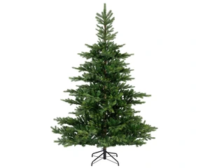 EVERLANDS Grandis Fir 150cm 5ft - image 1