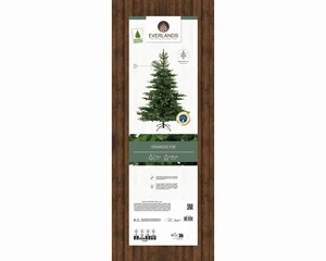 EVERLANDS Grandis Fir 180cm 6ft - image 2