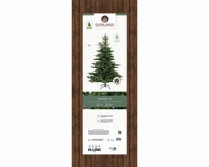 EVERLANDS Grandis Fir 210cm 7ft - image 2