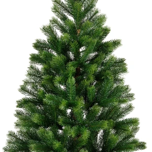 EVERLANDS Kenmore Fir 150cm 5ft - image 2