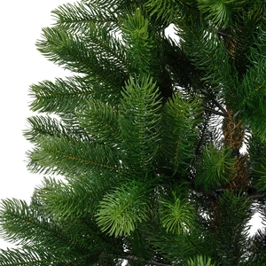 EVERLANDS Kenmore Fir 150cm 5ft - image 4