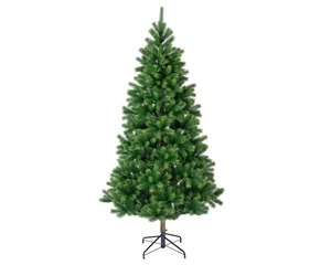 EVERLANDS Kenmore Fir 180cm 6ft - image 1