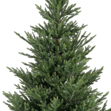 EVERLANDS Norway Spruce 210cm 7ft - image 2