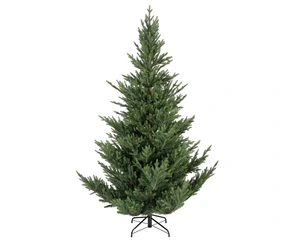 EVERLANDS Norway Spruce 210cm 7ft - image 1