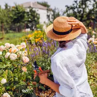 Gardening