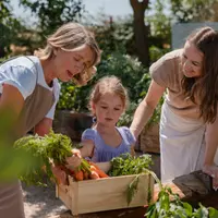 Grow Your Own