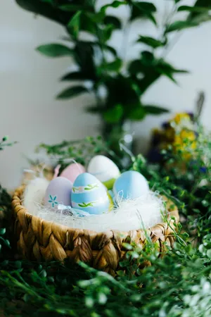 LITTLE BUNNIES WORKSHOP - Wednesday 1st April