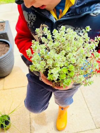 LITTLE GARDENER'S WORKSHOP - Tuesday 28th May