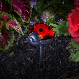 Ladybirds 3-PK - image 1