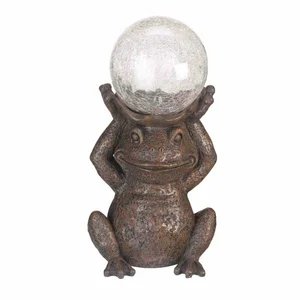 Gazing Frog - image 2