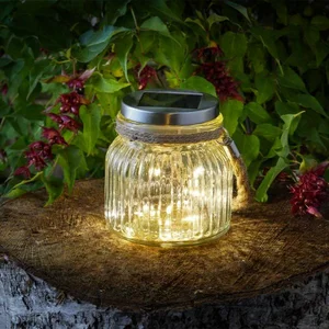 Firefly Glass Jar - image 2