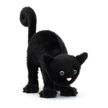 Spookiepaws Cat - image 1