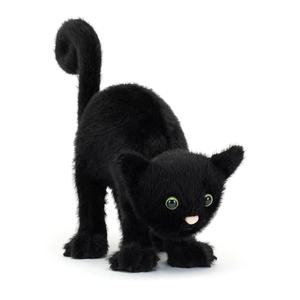 Spookiepaws Cat - image 1