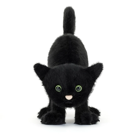 Spookiepaws Cat - image 2