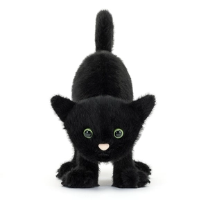 Spookiepaws Cat - image 2