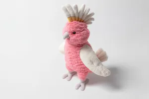 Squawkatoo - image 5