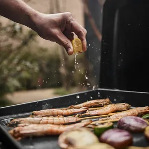 Weber® SLATE GP 43 cm Premium Griddle - image 5