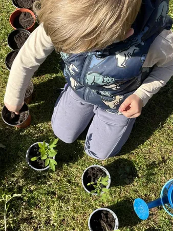 Wednesday 28th - 10am- LITTLE BLOSSOM'S WORKSHOP