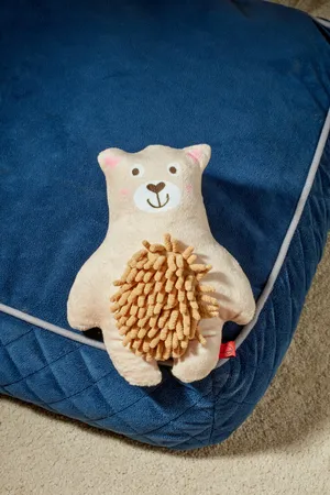 Zoon Noodly Teddy - image 1